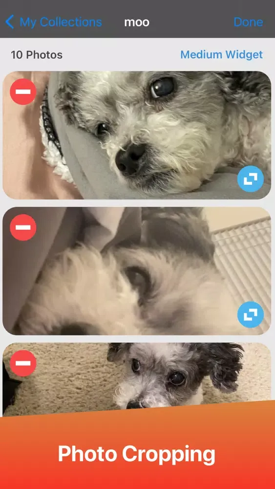 صور My Photo Collection Widget