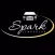 Spark Limousine Worldwide Transportation Network