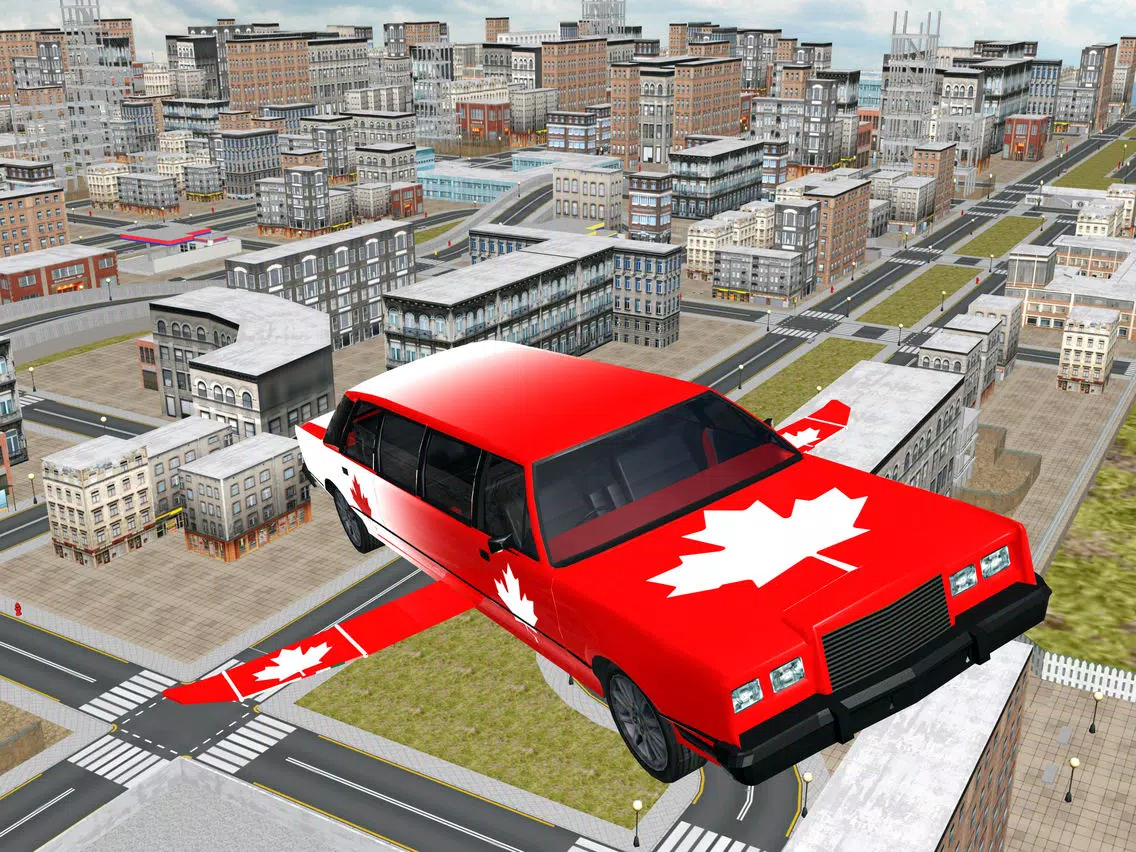 Limo Flying simulator 3d iPad 应用截图