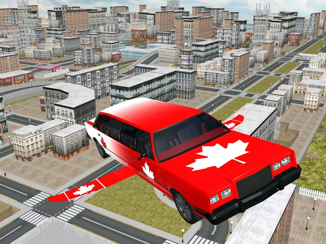 Limo Flying simulator 3d iPad  स्क्रीनशॉट