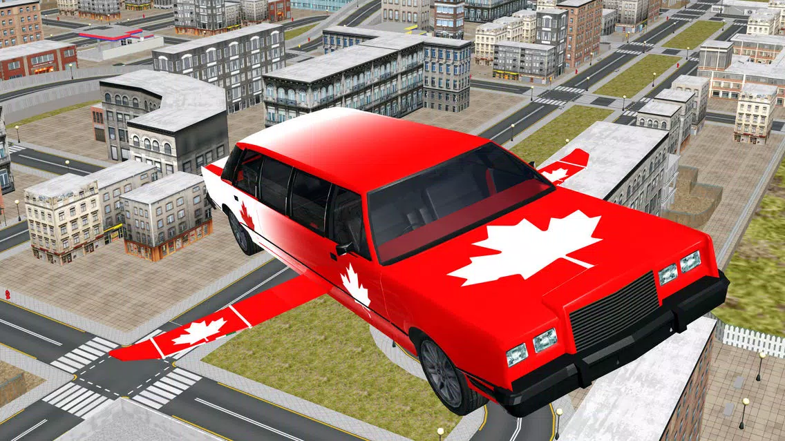 Limo Flying simulator 3d应用截图