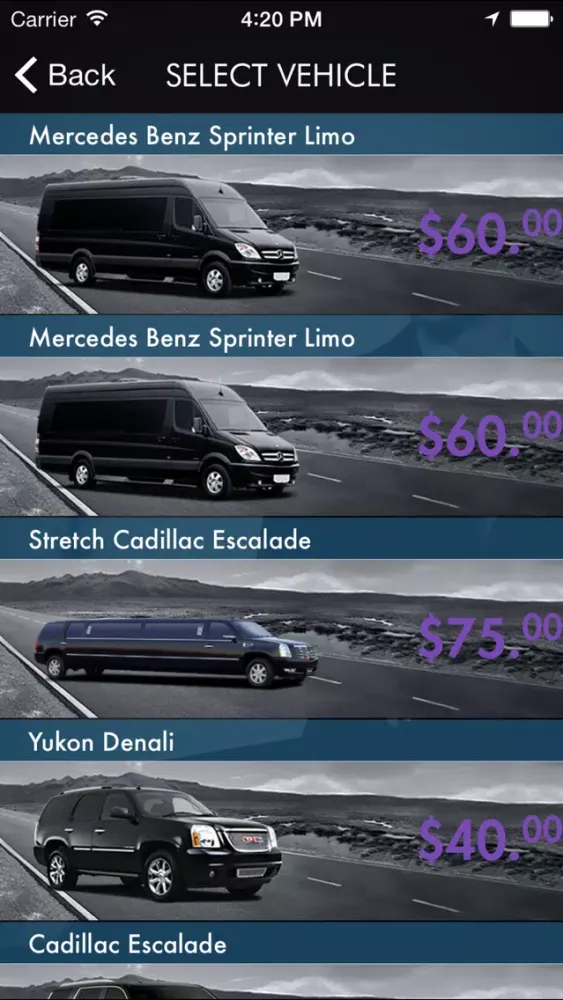 تصاویر Purple Tie Limo