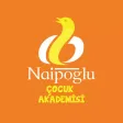 Naipoğlu