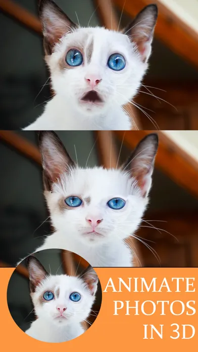 تصاویر Talking Pet - AI Animal Editor