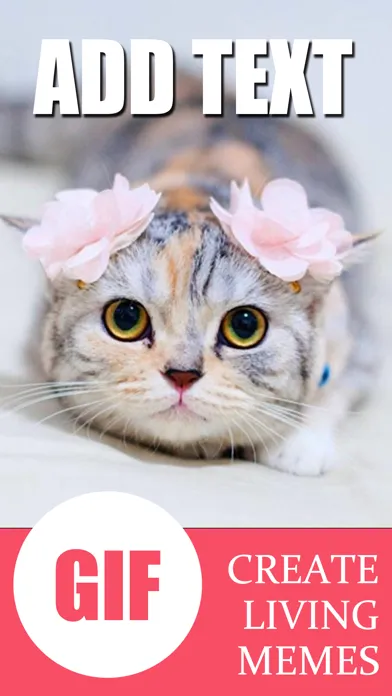 تصاویر Talking Pet - AI Animal Editor