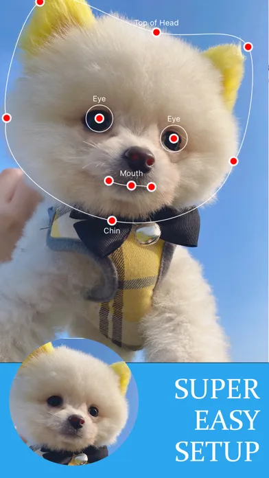 تصاویر Talking Pet - AI Animal Editor