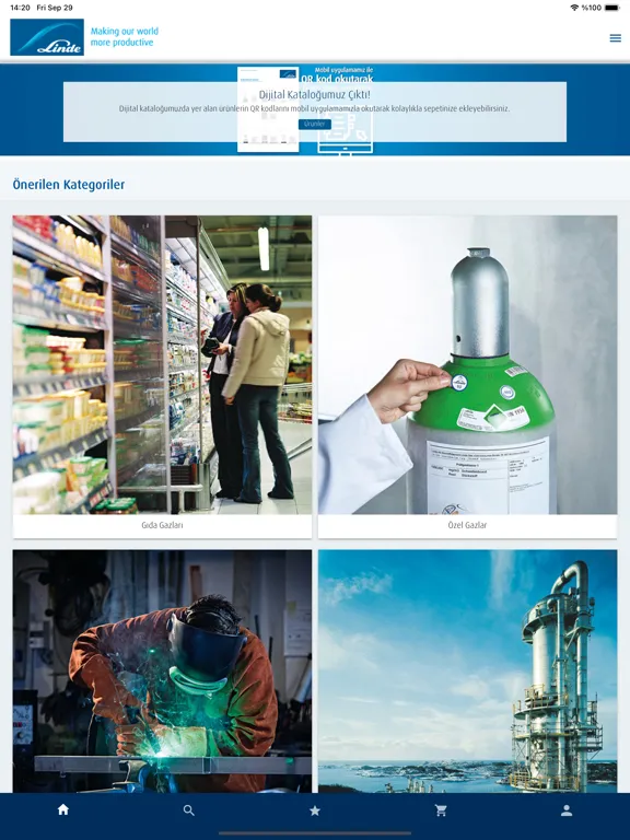 Screenshot di Linde Gaz eMarket iPad 