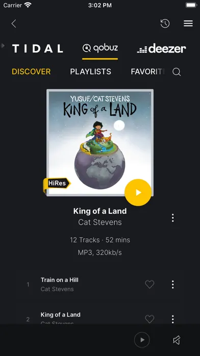 Lindemann Ekran Görüntüleri