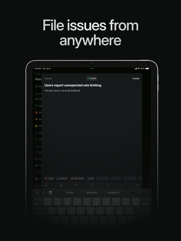 Capturas de pantalla de Linear Mobile iPad 