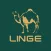 Linge