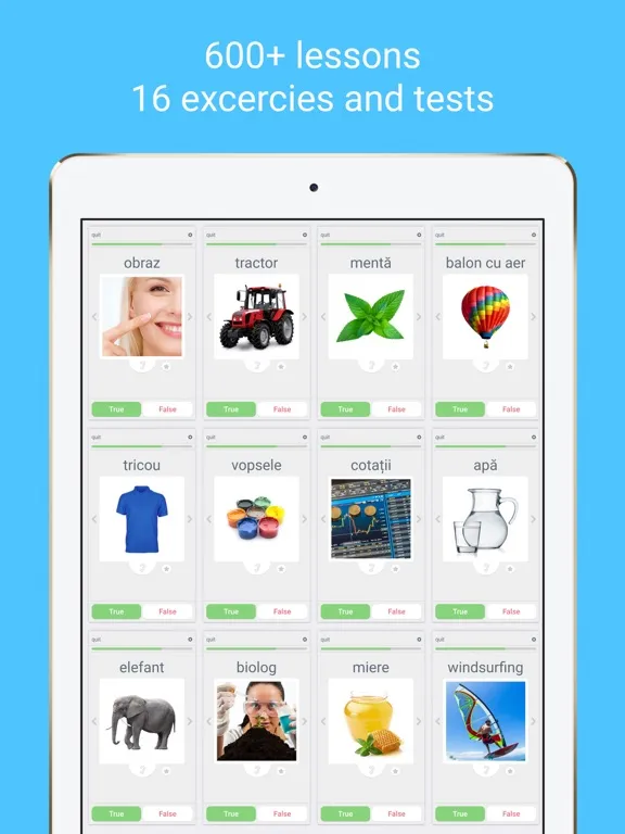 Learn Romanian with LinGo Play iPad  স্ক্রিনশট