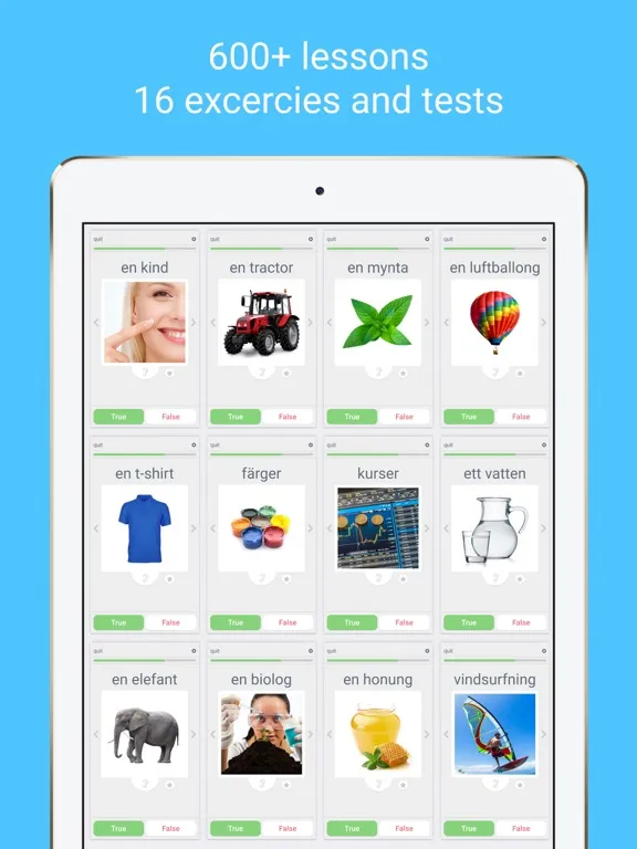 Скриншоты Learn Swedish with LinGo Play iPad 