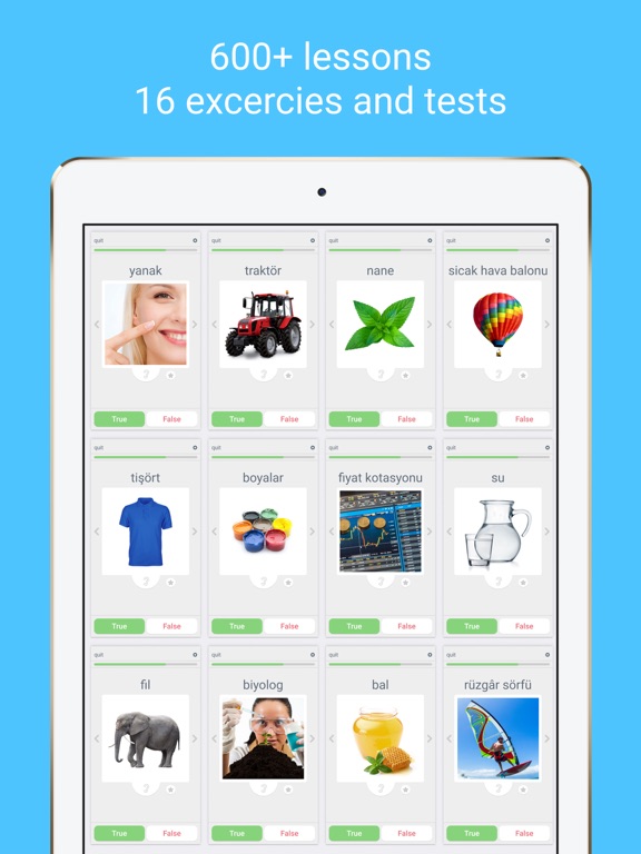 Learn Turkish with LinGo Play iPad  স্ক্রিনশট