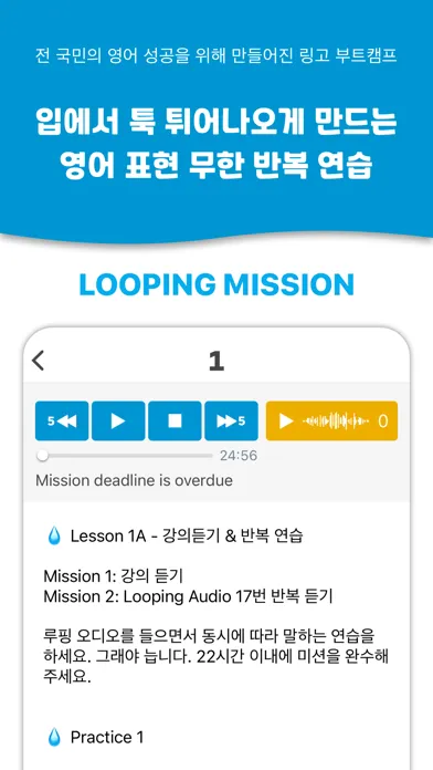 Lingo Bootcamp: Master English Screenshots