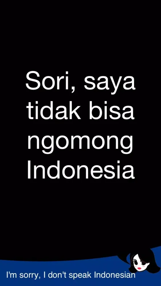 Capturas de tela do Lingopal Indonesian LITE - talking phrasebook