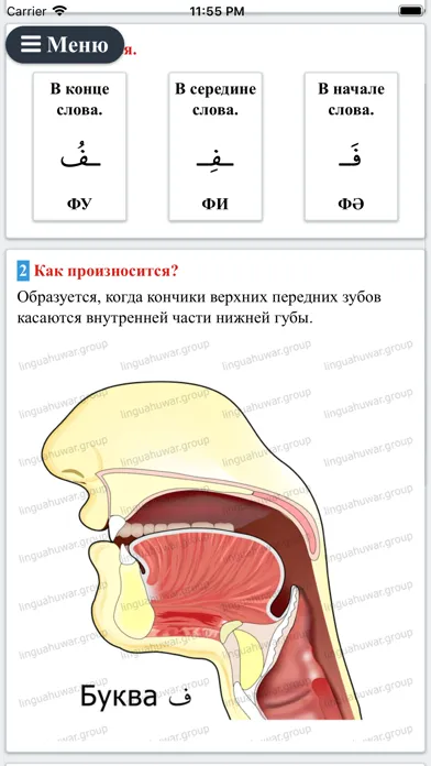 Captures d'écran de Арабский Алфавит Рус