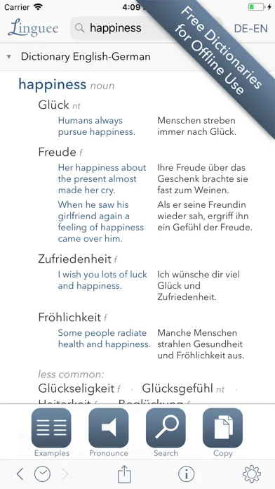 Screenshot di Dictionary Linguee