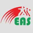Egyptian American school