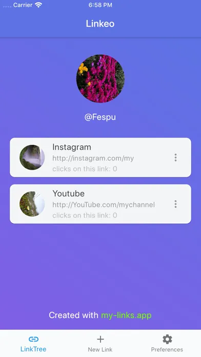 Linkeo - Multiple links on bio Screenshots