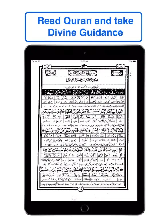 Urdu Quran Word To Word Online iPad  スクリーンショット