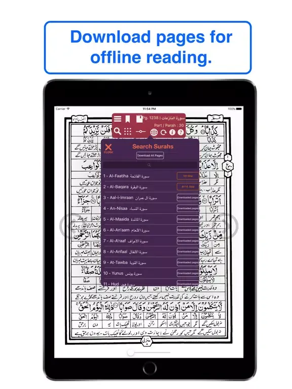 Urdu Quran Word To Word Online iPad  スクリーンショット