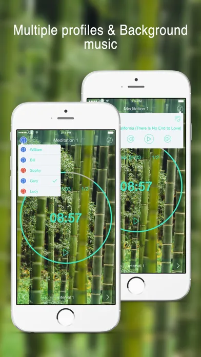 Zen Timer.应用截图