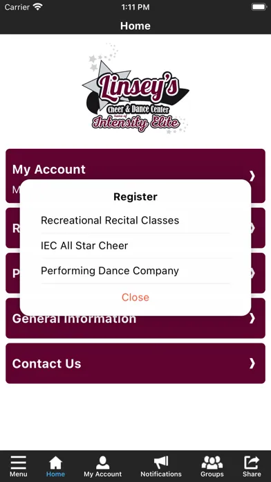 Tangkapan layar Linsey's Cheer & Dance Center