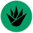 Agave ISY Controller