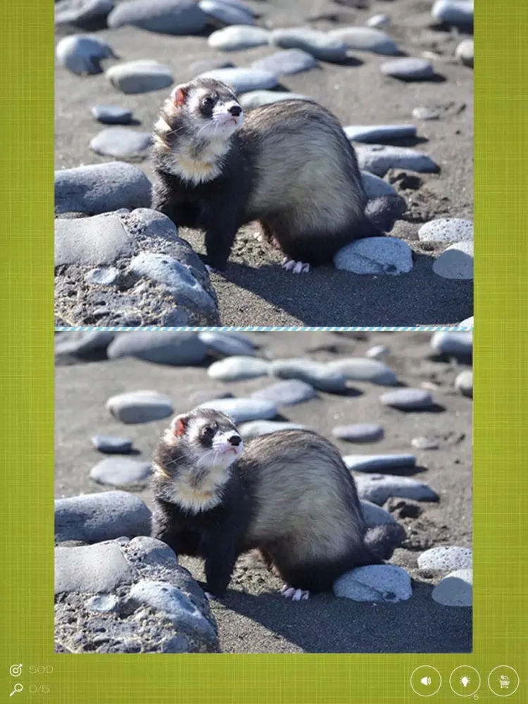 Captures d'écran de Find the Difference in Ferret iPad 