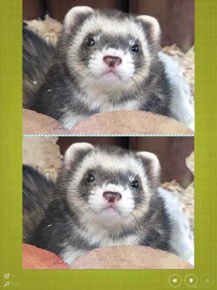 Captures d'écran de Find the Difference in Ferret iPad 