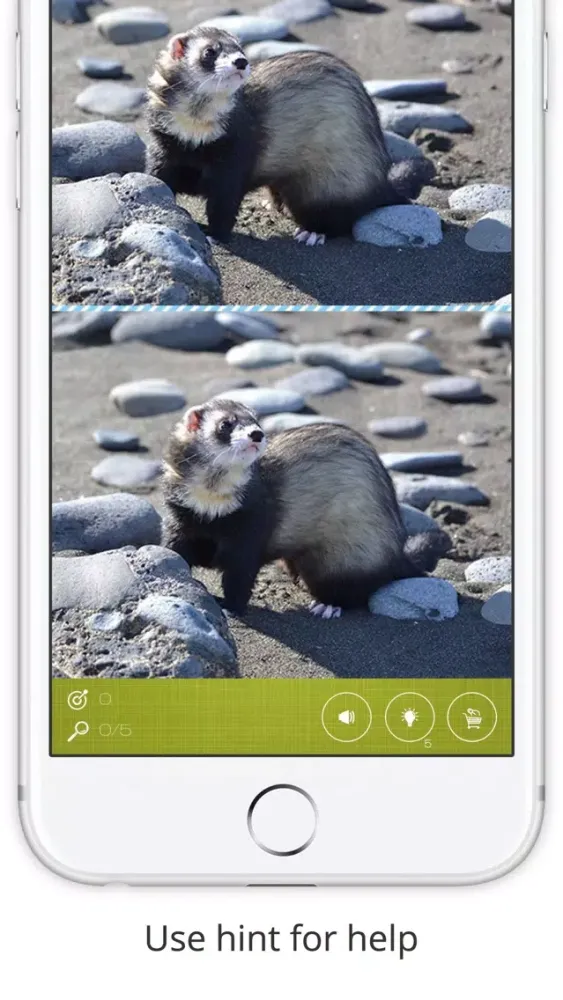 Captures d'écran de Find the Difference in Ferret