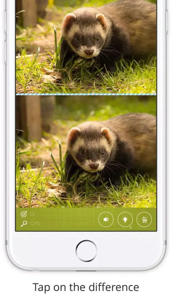 Captures d'écran de Find the Difference in Ferret