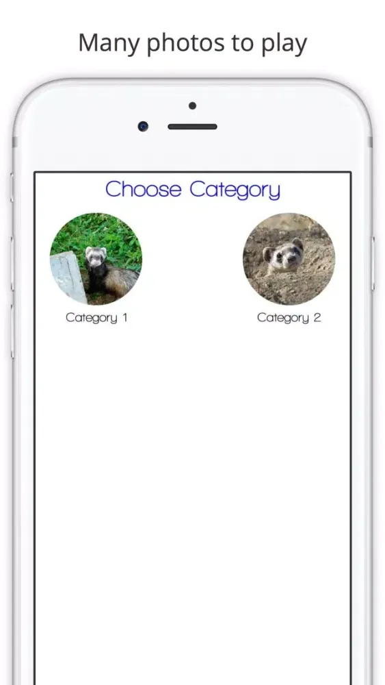 Captures d'écran de Find the Difference in Ferret