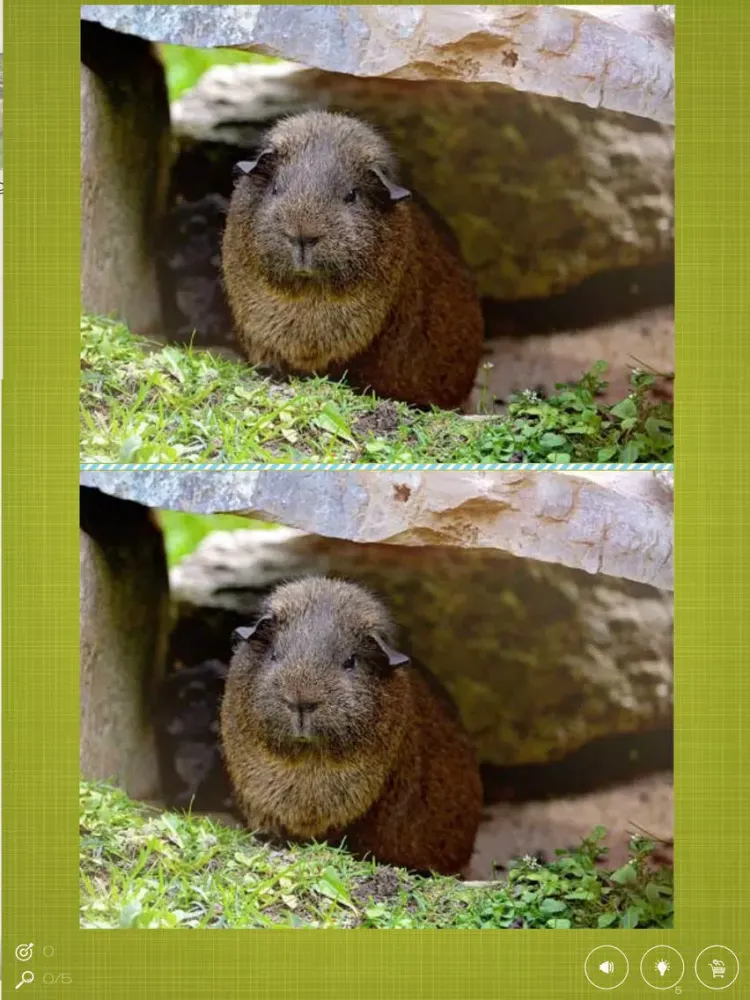 Screenshot di Find the Difference in Guinea Pig iPad 