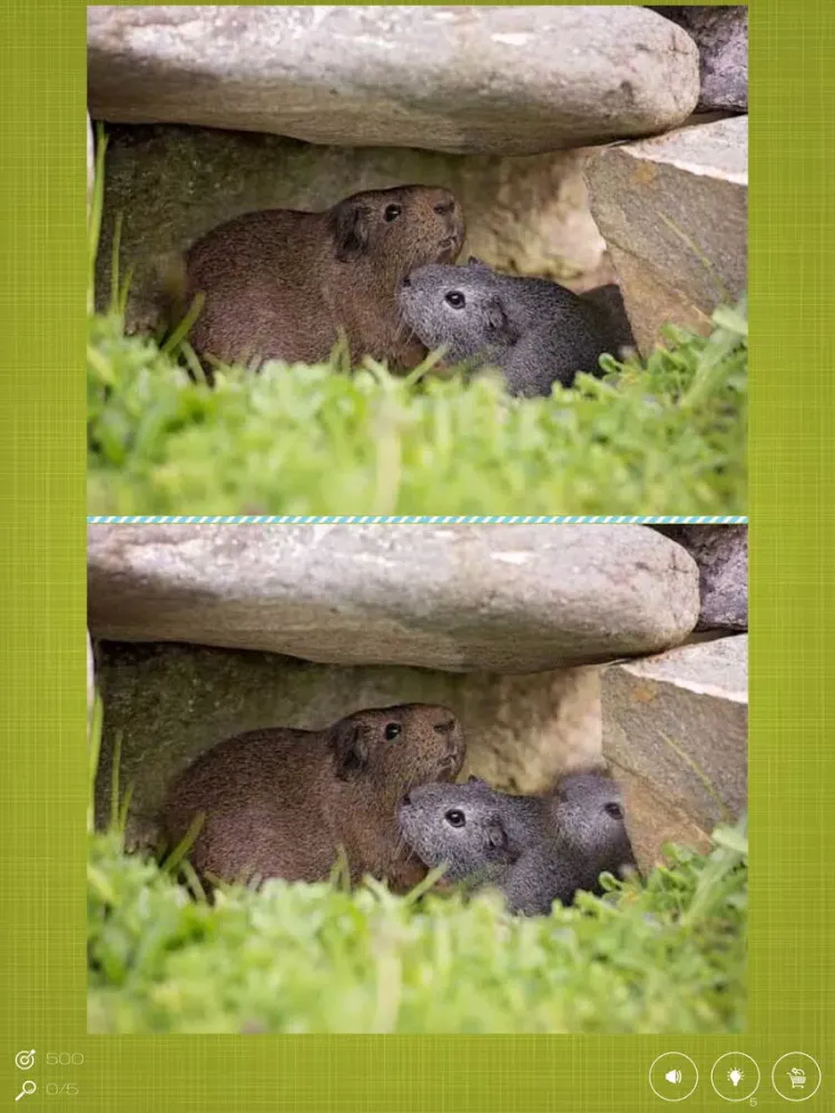 Screenshot di Find the Difference in Guinea Pig iPad 