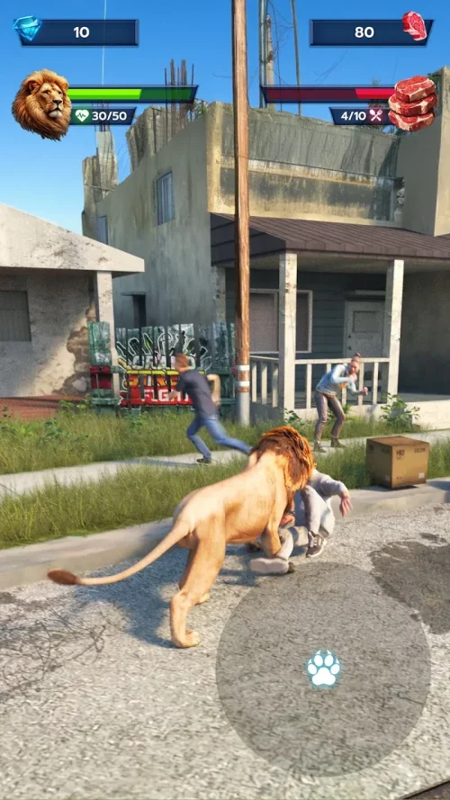 Lion Survival-screenshot-2