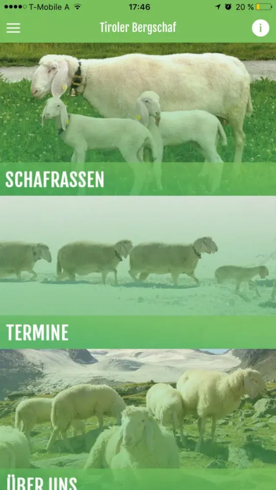 Tiroler Bergschaf سکرین شاٹس