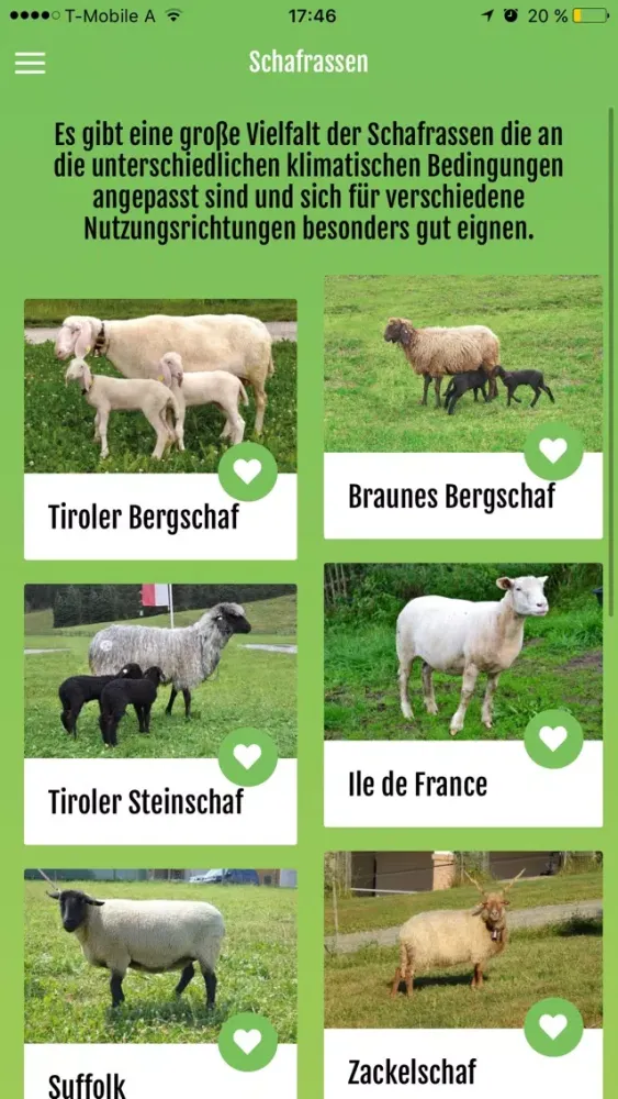 Tiroler Bergschaf سکرین شاٹس
