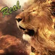 King Lion Safari Hunter Escape