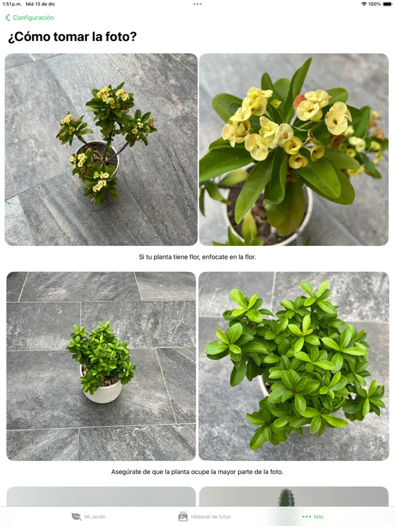 Floratica - Plant identifier iPad  스크린샷