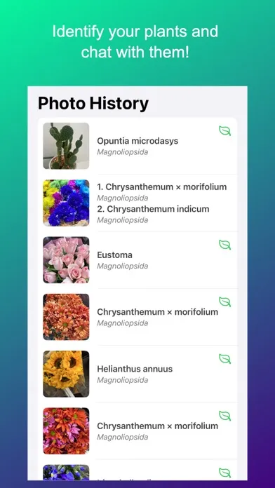 Floratica - Plant identifier 스크린샷