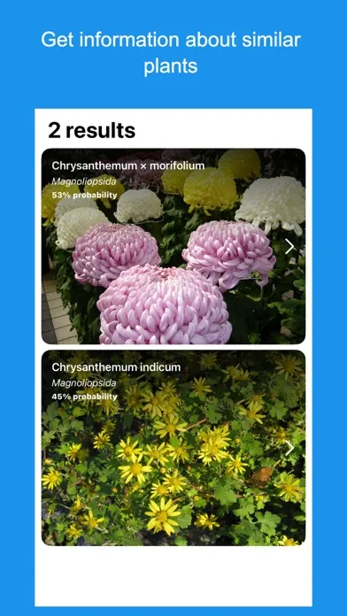 Floratica - Plant identifier 스크린샷