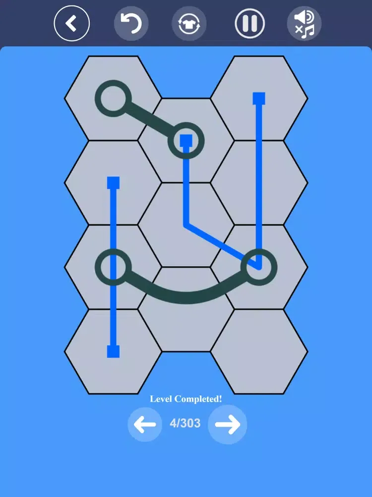 Connect Hexas - Hexa Puzzle iPad  Screenshots