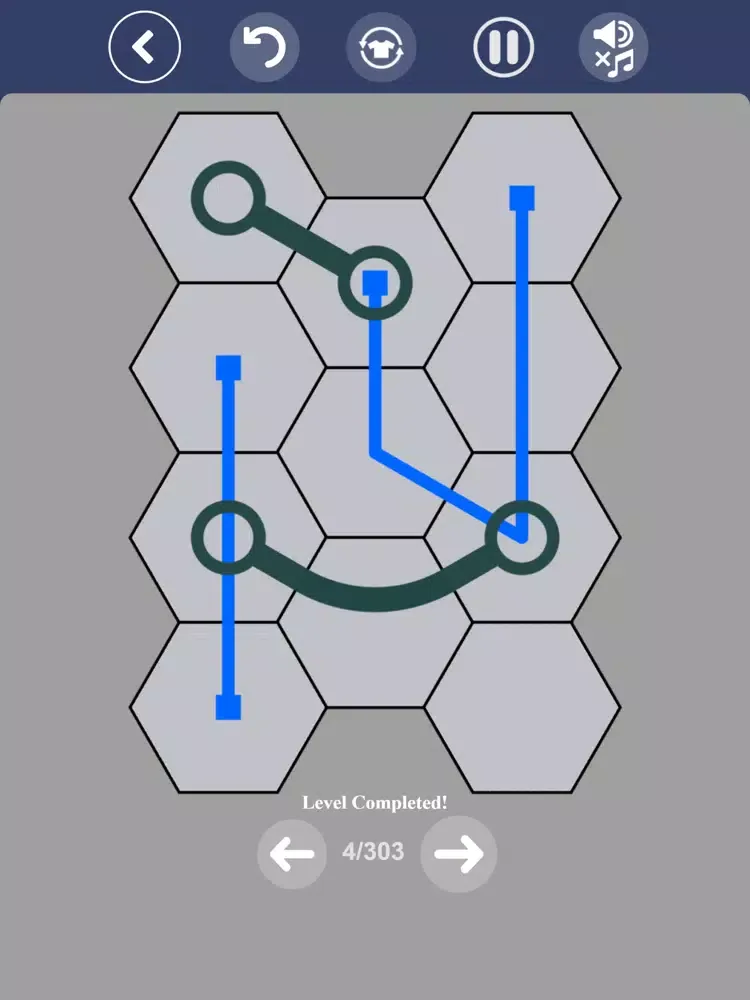 Connect Hexas - Hexa Puzzle iPad  Screenshots
