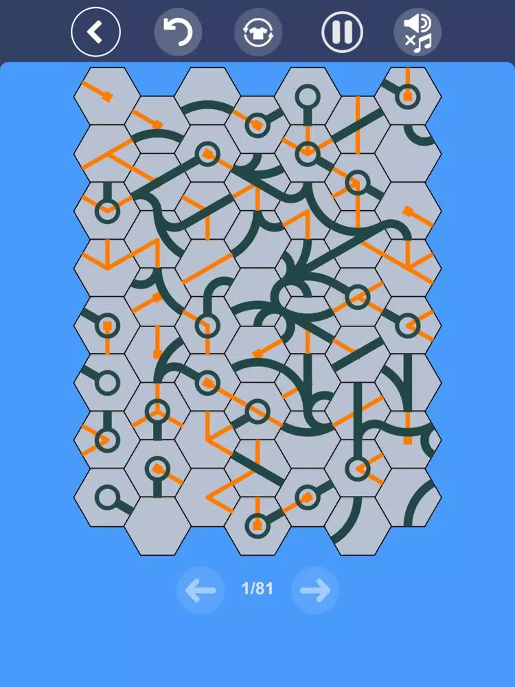 Connect Hexas - Hexa Puzzle iPad  Screenshots