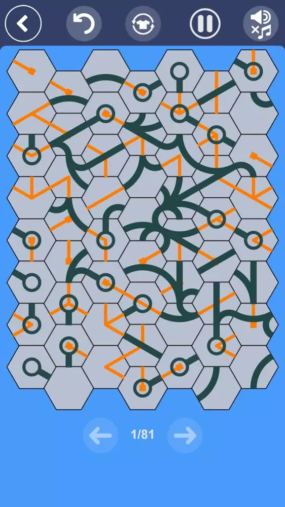 Connect Hexas - Hexa Puzzle Screenshots