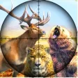 Wild Animal Hunting Clash 2024 Wild Animal Hunting Clash 2024