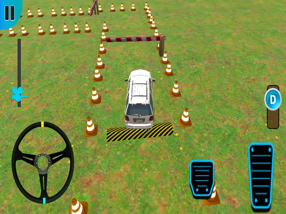 Prado Parking Adventure 2019 iPad  স্ক্রিনশট