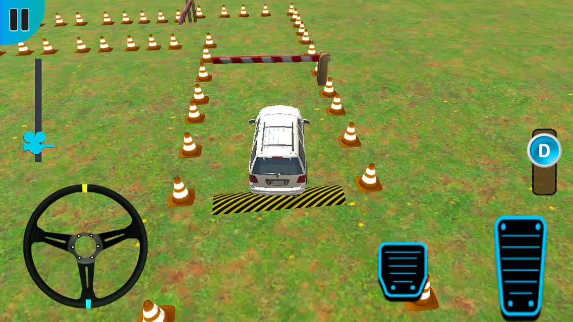 Prado Parking Adventure 2019 স্ক্রিনশট