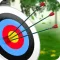 Archery Master Target Shooter